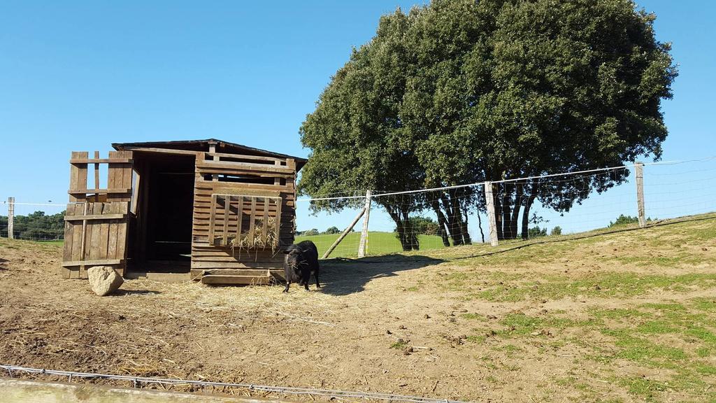 Apartamento L'archipel - Vue Exceptionnelle Et Bassins Aquatiques Du 29 Avril Au 15 Sept Talmont-Saint-Hilaire